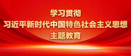 免费操逼网站外网学习贯彻习近平新时代中国特色社会主义思想主题教育_fororder_ad-371X160(2)